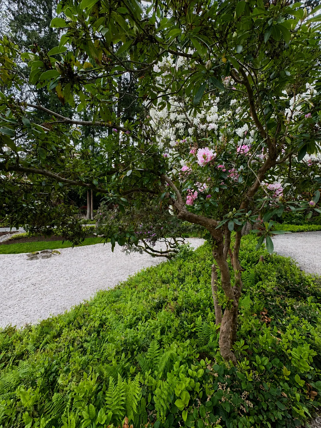 Healing Gardens